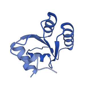 16634_8cg8_O_v1-7
Translocation intermediate 3 (TI-3) of 80S S. cerevisiae ribosome with ligands and eEF2 in the presence of sordarin