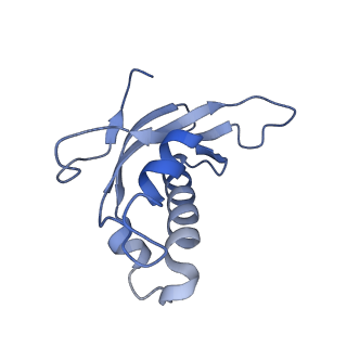 16634_8cg8_P_v1-7
Translocation intermediate 3 (TI-3) of 80S S. cerevisiae ribosome with ligands and eEF2 in the presence of sordarin