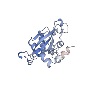 16634_8cg8_QQ_v1-7
Translocation intermediate 3 (TI-3) of 80S S. cerevisiae ribosome with ligands and eEF2 in the presence of sordarin