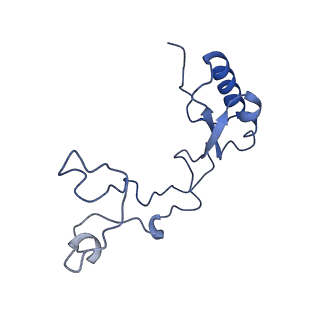 16634_8cg8_Q_v1-6
Translocation intermediate 3 (TI-3) of 80S S. cerevisiae ribosome with ligands and eEF2 in the presence of sordarin