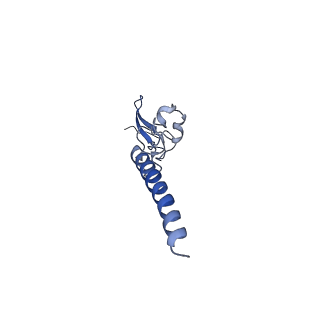 16634_8cg8_S_v1-7
Translocation intermediate 3 (TI-3) of 80S S. cerevisiae ribosome with ligands and eEF2 in the presence of sordarin