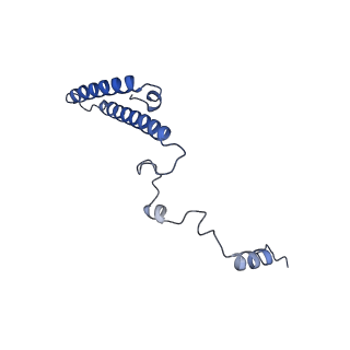 16634_8cg8_T_v1-6
Translocation intermediate 3 (TI-3) of 80S S. cerevisiae ribosome with ligands and eEF2 in the presence of sordarin