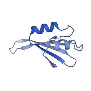 16634_8cg8_W_v1-7
Translocation intermediate 3 (TI-3) of 80S S. cerevisiae ribosome with ligands and eEF2 in the presence of sordarin