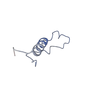 16634_8cg8_X_v1-7
Translocation intermediate 3 (TI-3) of 80S S. cerevisiae ribosome with ligands and eEF2 in the presence of sordarin