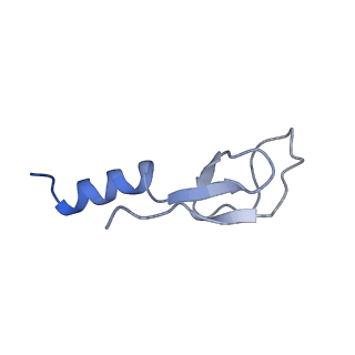 16634_8cg8_Y_v1-7
Translocation intermediate 3 (TI-3) of 80S S. cerevisiae ribosome with ligands and eEF2 in the presence of sordarin