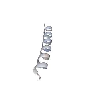 16634_8cg8_Z_v1-7
Translocation intermediate 3 (TI-3) of 80S S. cerevisiae ribosome with ligands and eEF2 in the presence of sordarin