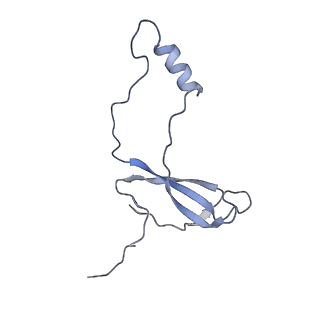 16634_8cg8_a_v1-6
Translocation intermediate 3 (TI-3) of 80S S. cerevisiae ribosome with ligands and eEF2 in the presence of sordarin