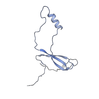 16634_8cg8_a_v1-7
Translocation intermediate 3 (TI-3) of 80S S. cerevisiae ribosome with ligands and eEF2 in the presence of sordarin