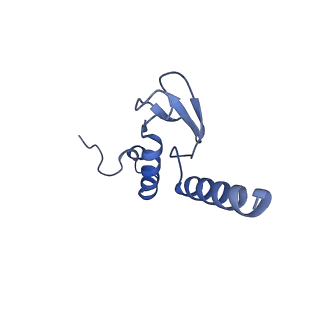 16634_8cg8_b_v1-7
Translocation intermediate 3 (TI-3) of 80S S. cerevisiae ribosome with ligands and eEF2 in the presence of sordarin