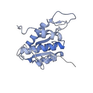 16634_8cg8_d_v1-6
Translocation intermediate 3 (TI-3) of 80S S. cerevisiae ribosome with ligands and eEF2 in the presence of sordarin