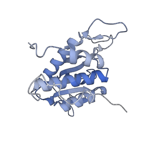 16634_8cg8_d_v1-7
Translocation intermediate 3 (TI-3) of 80S S. cerevisiae ribosome with ligands and eEF2 in the presence of sordarin