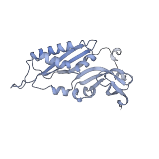 16634_8cg8_e_v1-6
Translocation intermediate 3 (TI-3) of 80S S. cerevisiae ribosome with ligands and eEF2 in the presence of sordarin