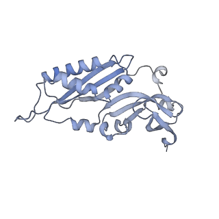 16634_8cg8_e_v1-7
Translocation intermediate 3 (TI-3) of 80S S. cerevisiae ribosome with ligands and eEF2 in the presence of sordarin