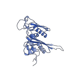 16634_8cg8_f_v1-6
Translocation intermediate 3 (TI-3) of 80S S. cerevisiae ribosome with ligands and eEF2 in the presence of sordarin