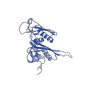 16634_8cg8_f_v1-7
Translocation intermediate 3 (TI-3) of 80S S. cerevisiae ribosome with ligands and eEF2 in the presence of sordarin