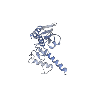 16634_8cg8_g_v1-6
Translocation intermediate 3 (TI-3) of 80S S. cerevisiae ribosome with ligands and eEF2 in the presence of sordarin
