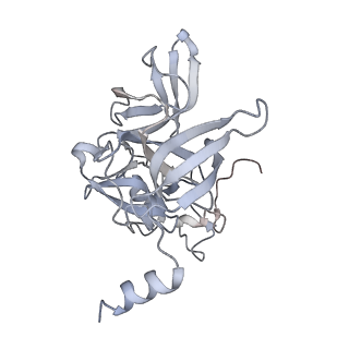 16634_8cg8_h_v1-6
Translocation intermediate 3 (TI-3) of 80S S. cerevisiae ribosome with ligands and eEF2 in the presence of sordarin
