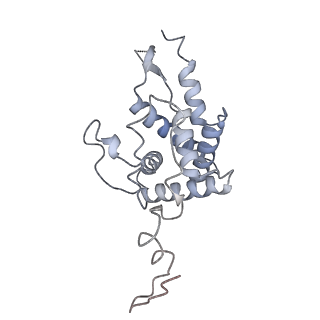 16634_8cg8_i_v1-6
Translocation intermediate 3 (TI-3) of 80S S. cerevisiae ribosome with ligands and eEF2 in the presence of sordarin