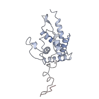 16634_8cg8_i_v1-7
Translocation intermediate 3 (TI-3) of 80S S. cerevisiae ribosome with ligands and eEF2 in the presence of sordarin