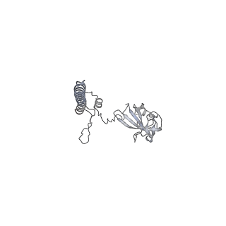 16634_8cg8_j_v1-7
Translocation intermediate 3 (TI-3) of 80S S. cerevisiae ribosome with ligands and eEF2 in the presence of sordarin