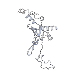 16634_8cg8_l_v1-6
Translocation intermediate 3 (TI-3) of 80S S. cerevisiae ribosome with ligands and eEF2 in the presence of sordarin