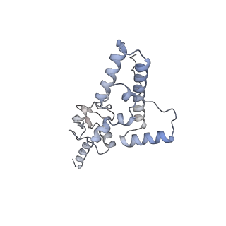 16634_8cg8_m_v1-7
Translocation intermediate 3 (TI-3) of 80S S. cerevisiae ribosome with ligands and eEF2 in the presence of sordarin