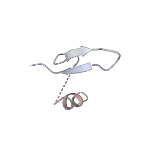 16634_8cg8_n_v1-7
Translocation intermediate 3 (TI-3) of 80S S. cerevisiae ribosome with ligands and eEF2 in the presence of sordarin