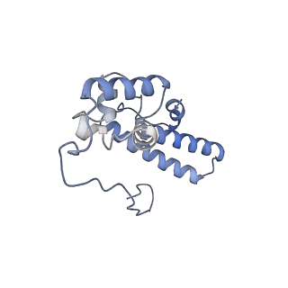 16634_8cg8_p_v1-7
Translocation intermediate 3 (TI-3) of 80S S. cerevisiae ribosome with ligands and eEF2 in the presence of sordarin