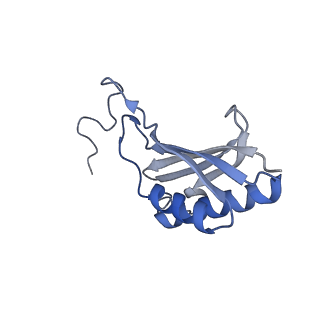 16634_8cg8_q_v1-6
Translocation intermediate 3 (TI-3) of 80S S. cerevisiae ribosome with ligands and eEF2 in the presence of sordarin
