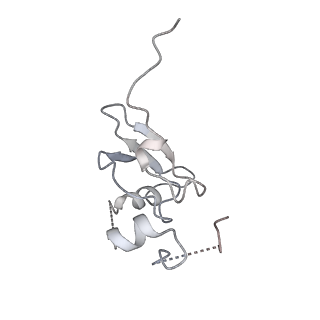 16634_8cg8_r_v1-6
Translocation intermediate 3 (TI-3) of 80S S. cerevisiae ribosome with ligands and eEF2 in the presence of sordarin