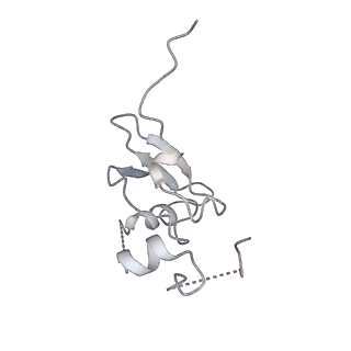 16634_8cg8_r_v1-7
Translocation intermediate 3 (TI-3) of 80S S. cerevisiae ribosome with ligands and eEF2 in the presence of sordarin
