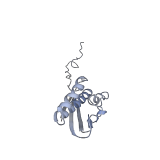 16634_8cg8_s_v1-7
Translocation intermediate 3 (TI-3) of 80S S. cerevisiae ribosome with ligands and eEF2 in the presence of sordarin