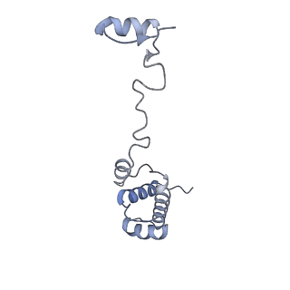 16634_8cg8_t_v1-7
Translocation intermediate 3 (TI-3) of 80S S. cerevisiae ribosome with ligands and eEF2 in the presence of sordarin