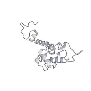 16634_8cg8_u_v1-6
Translocation intermediate 3 (TI-3) of 80S S. cerevisiae ribosome with ligands and eEF2 in the presence of sordarin