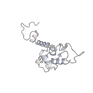 16634_8cg8_u_v1-7
Translocation intermediate 3 (TI-3) of 80S S. cerevisiae ribosome with ligands and eEF2 in the presence of sordarin