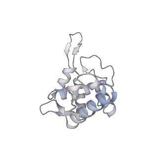 16634_8cg8_v_v1-7
Translocation intermediate 3 (TI-3) of 80S S. cerevisiae ribosome with ligands and eEF2 in the presence of sordarin