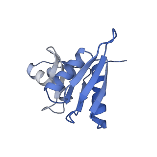 16634_8cg8_y_v1-7
Translocation intermediate 3 (TI-3) of 80S S. cerevisiae ribosome with ligands and eEF2 in the presence of sordarin