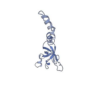 16634_8cg8_z_v1-7
Translocation intermediate 3 (TI-3) of 80S S. cerevisiae ribosome with ligands and eEF2 in the presence of sordarin