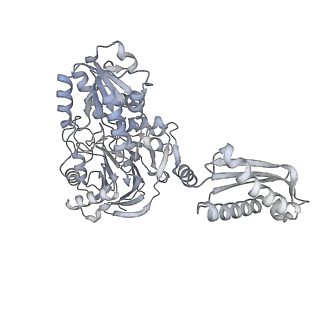 16647_8cgl_A_v1-0
Cryo-EM structure of RNase J from Helicobacter pylori
