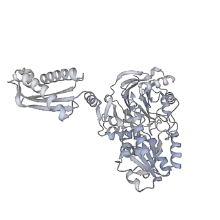 16647_8cgl_B_v1-0
Cryo-EM structure of RNase J from Helicobacter pylori