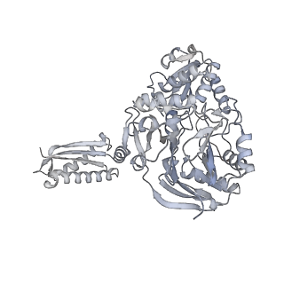 16647_8cgl_C_v1-0
Cryo-EM structure of RNase J from Helicobacter pylori