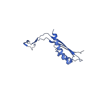 30351_7cg7_A_v1-2
Cryo-EM structure of the flagellar MS ring with C34 symmetry from Salmonella