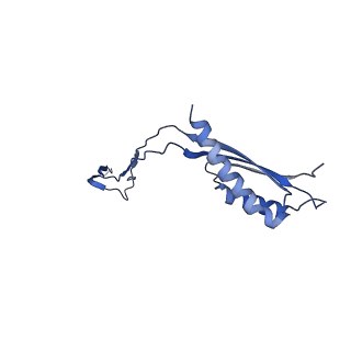 30351_7cg7_B_v1-2
Cryo-EM structure of the flagellar MS ring with C34 symmetry from Salmonella