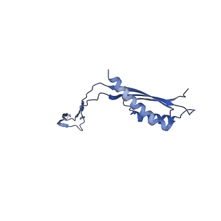 30351_7cg7_C_v1-2
Cryo-EM structure of the flagellar MS ring with C34 symmetry from Salmonella