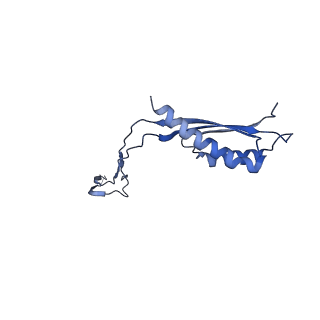 30351_7cg7_D_v1-2
Cryo-EM structure of the flagellar MS ring with C34 symmetry from Salmonella
