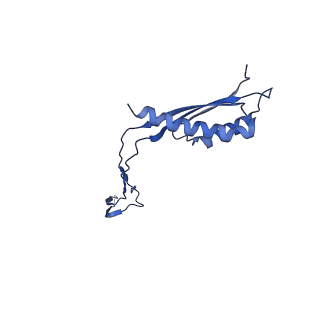 30351_7cg7_F_v1-2
Cryo-EM structure of the flagellar MS ring with C34 symmetry from Salmonella