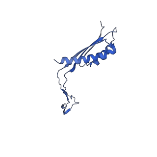 30351_7cg7_H_v1-2
Cryo-EM structure of the flagellar MS ring with C34 symmetry from Salmonella