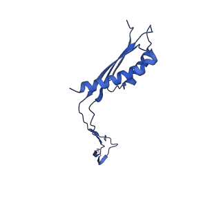 30351_7cg7_I_v1-2
Cryo-EM structure of the flagellar MS ring with C34 symmetry from Salmonella