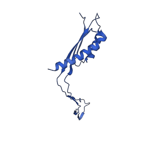 30351_7cg7_J_v1-2
Cryo-EM structure of the flagellar MS ring with C34 symmetry from Salmonella