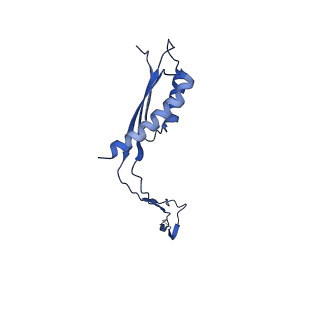 30351_7cg7_K_v1-2
Cryo-EM structure of the flagellar MS ring with C34 symmetry from Salmonella